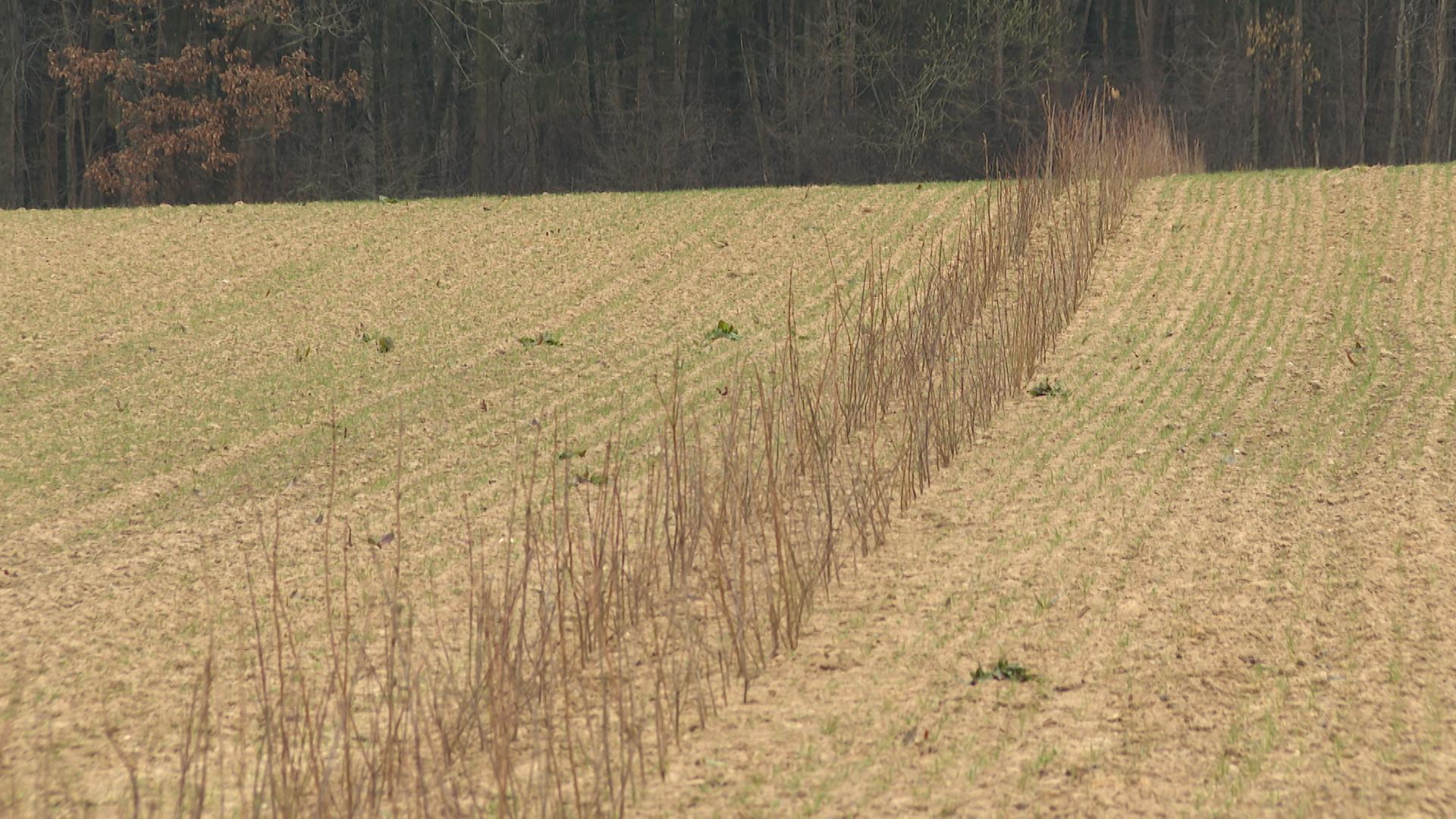 Eau potable : mesures agricoles pour protéger les captages