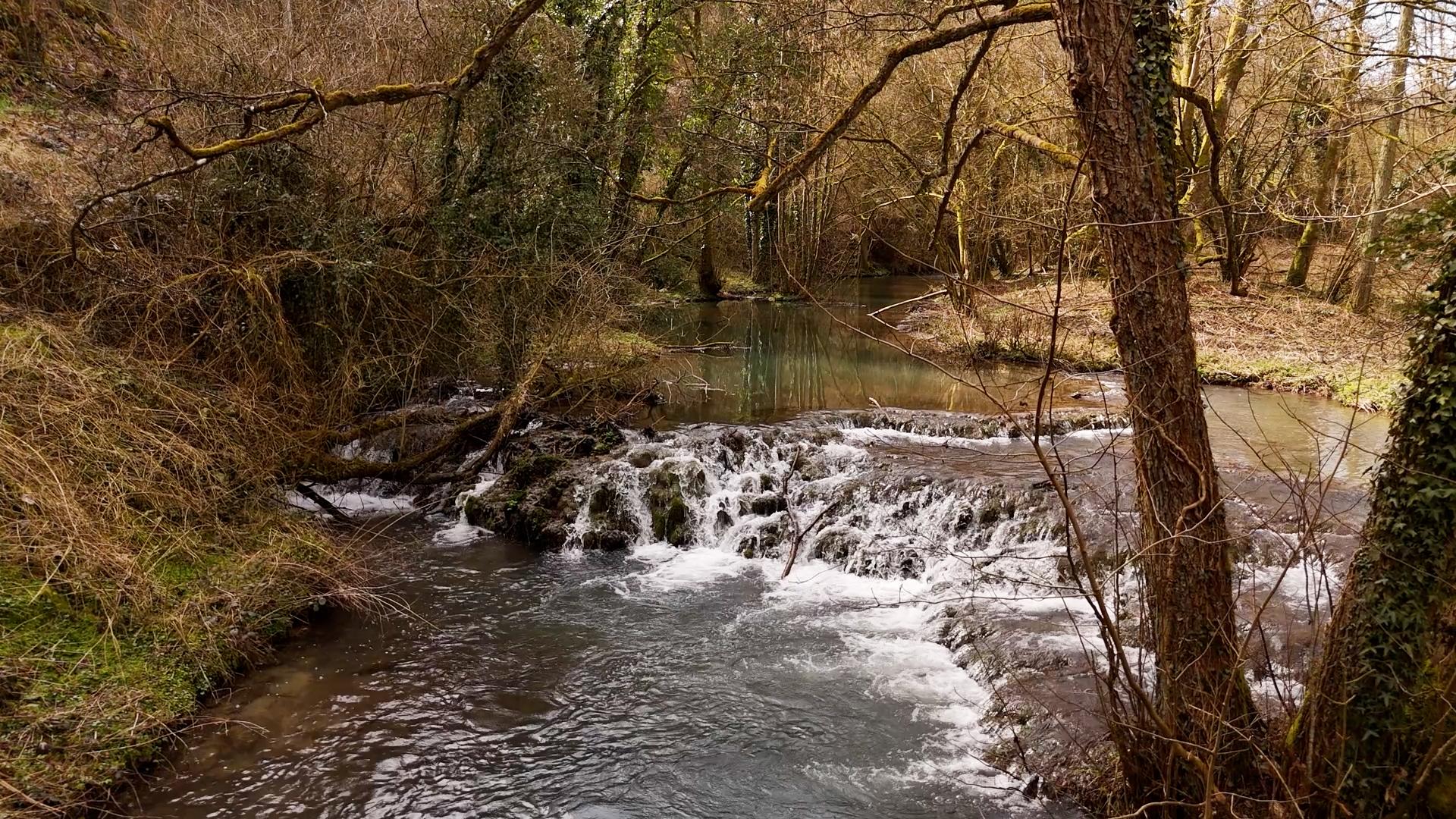 Journée mondiale de l'eau : découverte des mystères du Triffoy