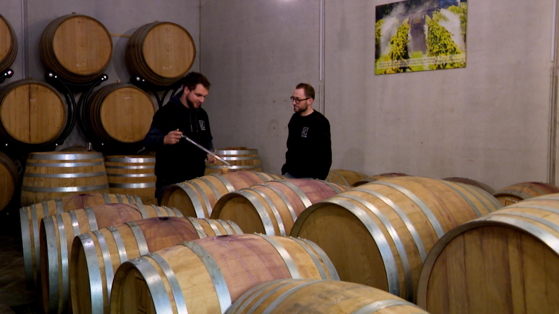 Les viticulteurs espèrent une meilleure saison