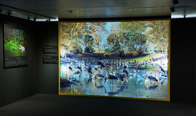 Exposition National Geographic à Liège-Guillemins