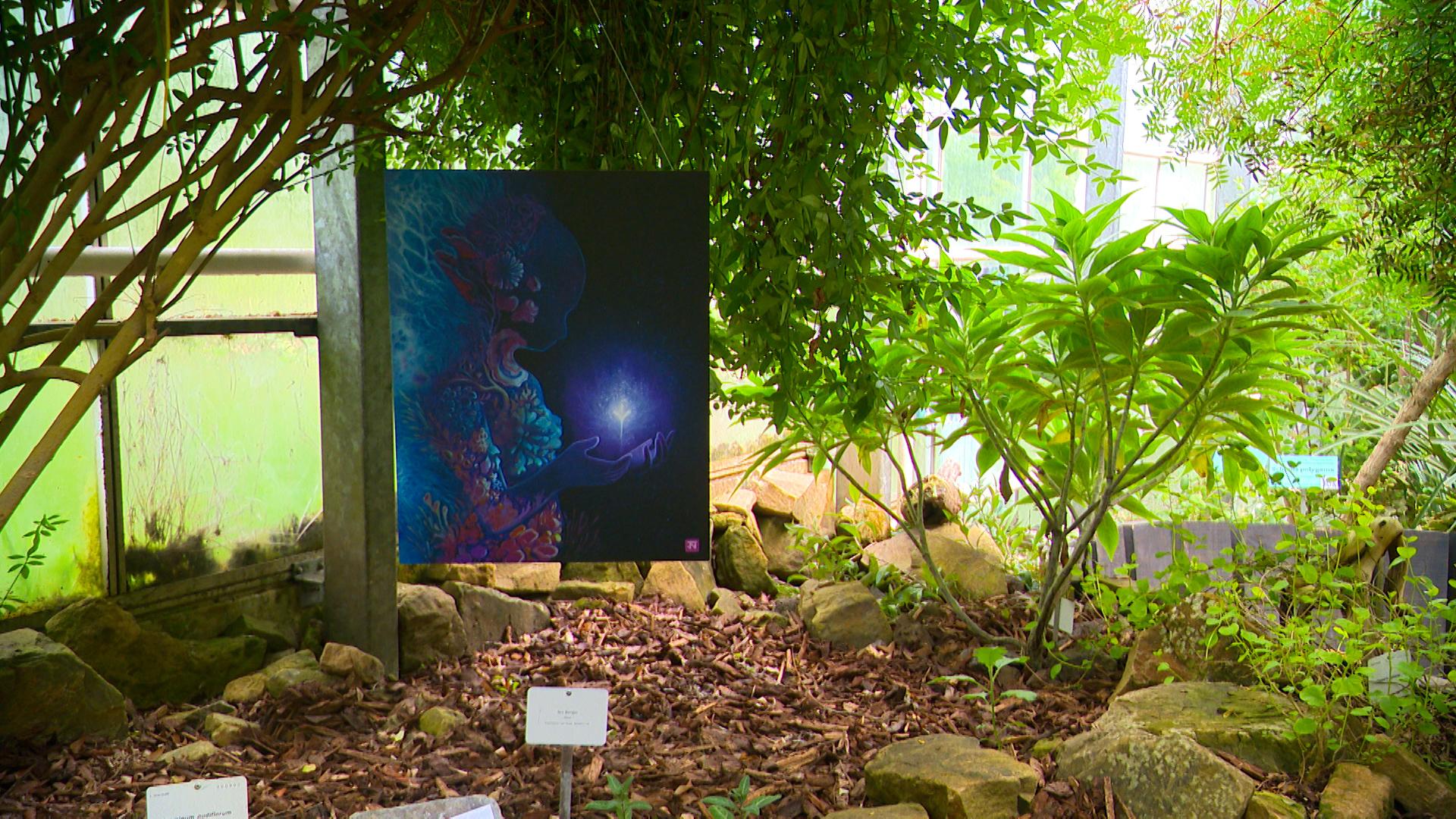 12 artistes exposent à l'Observatoire du Monde des Plantes