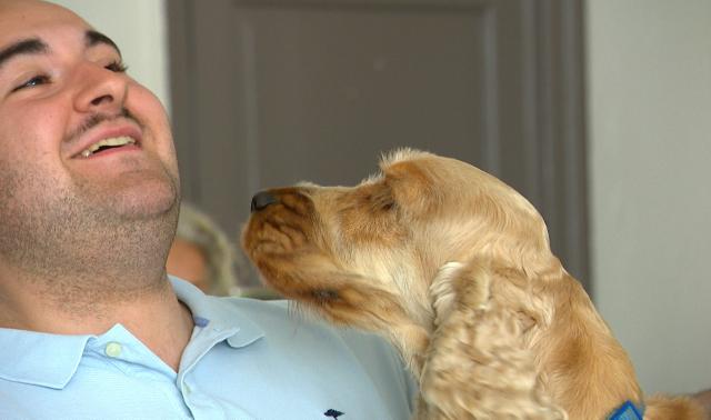 Vaincre la peur des chiens avec ID Pattes
