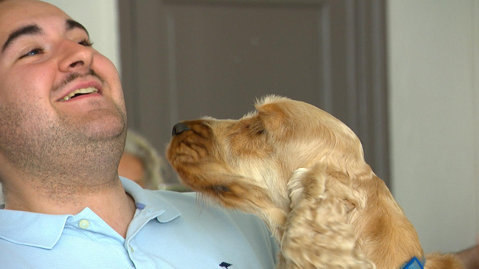 Vaincre la peur des chiens avec ID Pattes