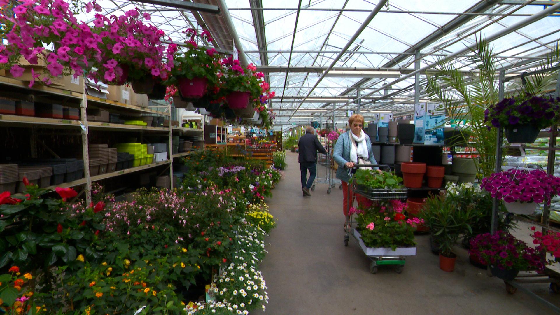Horticulture : la saison bat son plein
