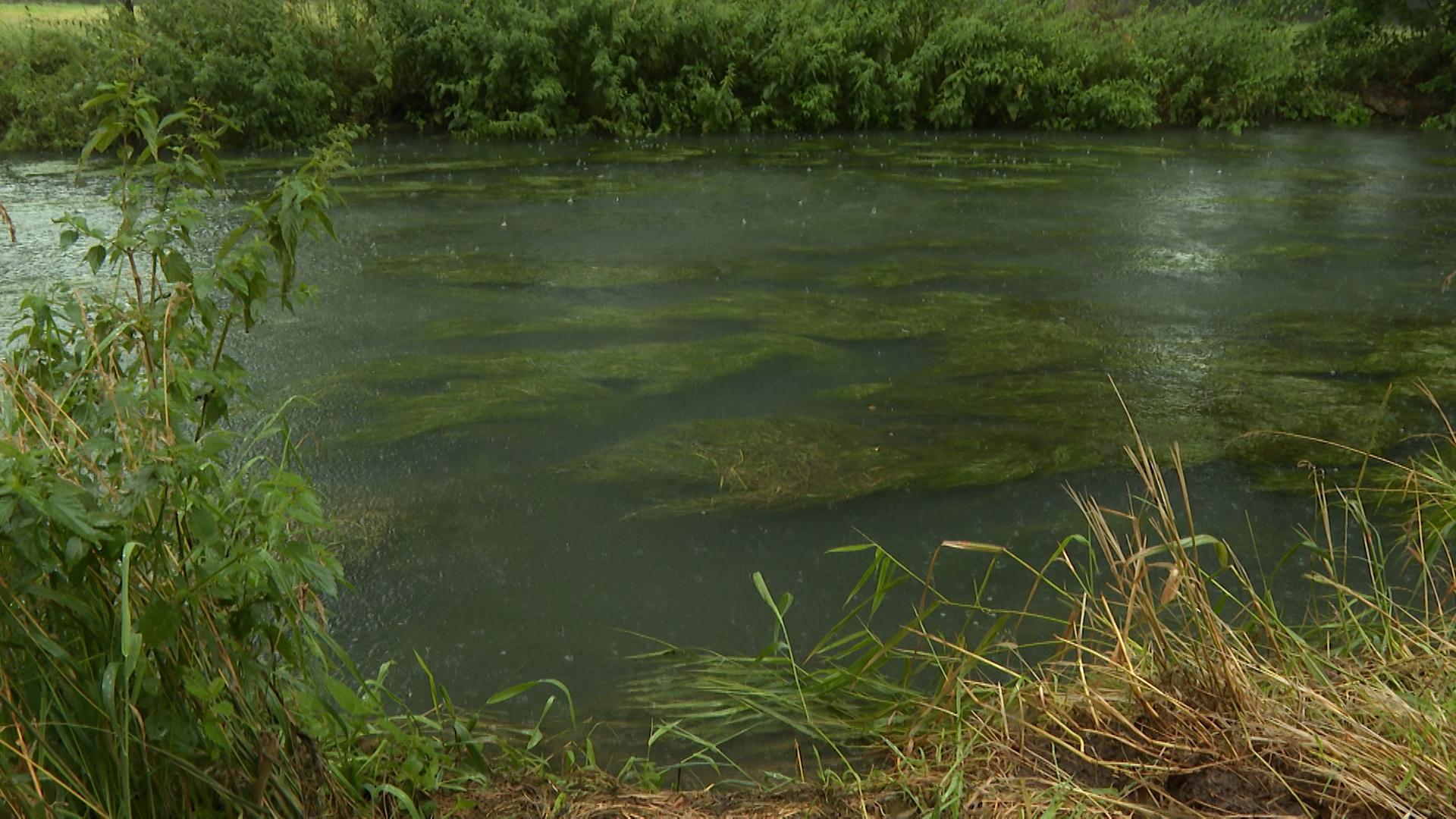 Le niveau du Geer anormalement haut inquiète les riverains