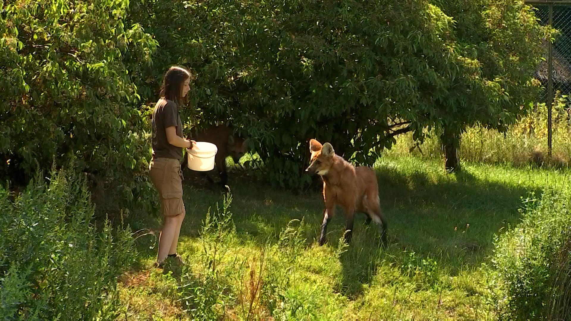 Métier passion : soigneuse dans un parc animalier