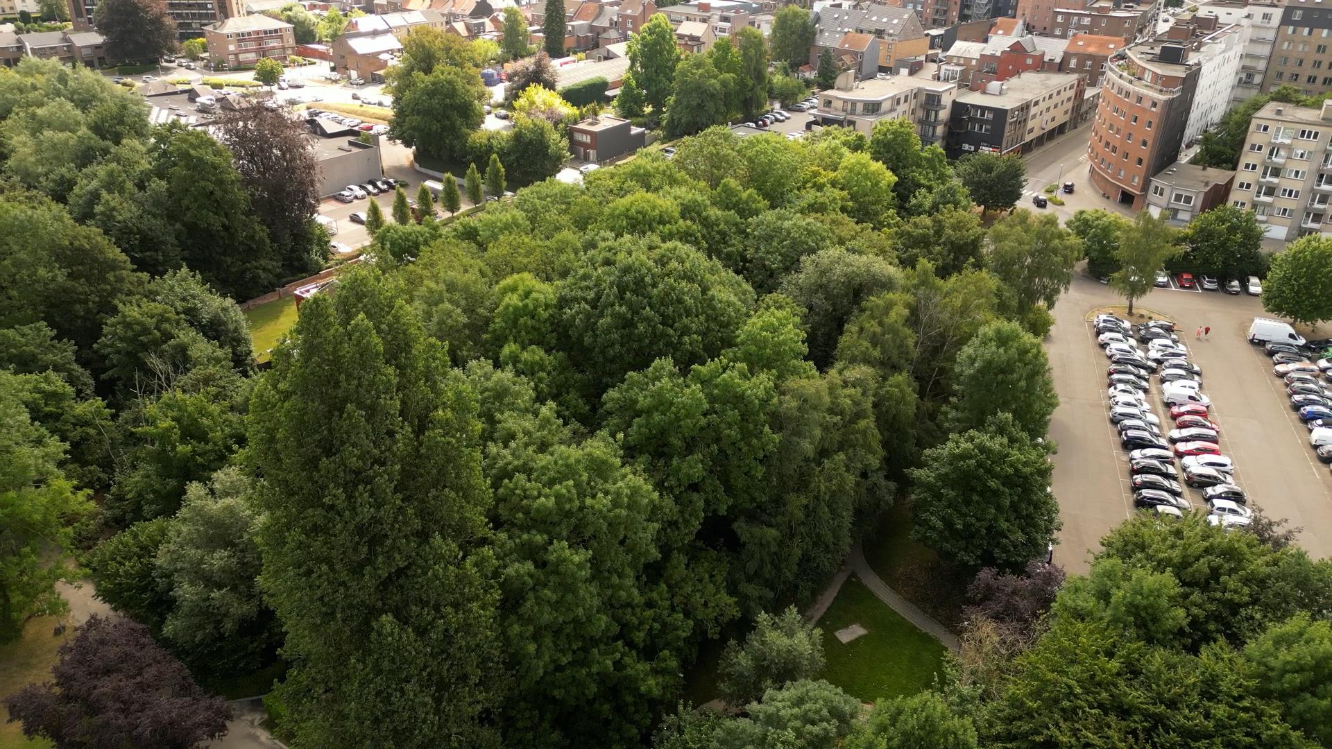 Le bois de la Tannerie racheté par la ville de Waremme