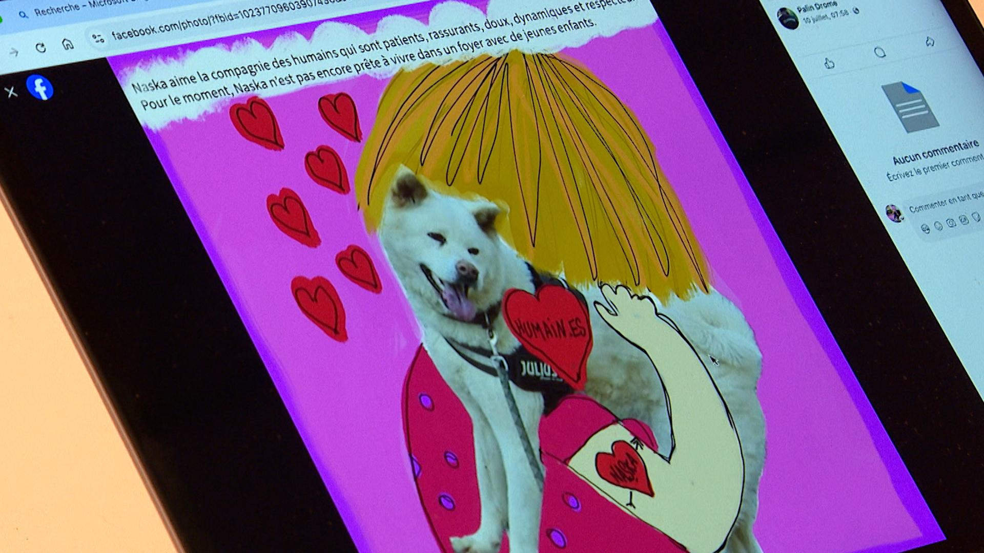 Des histoires illustrées pour aider à l'adoption d'un chien