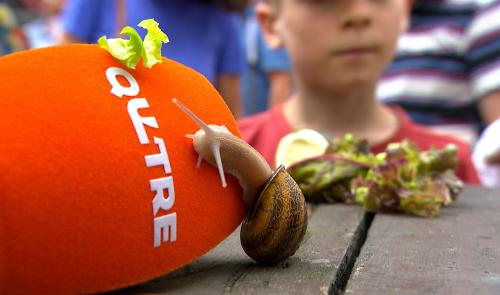 Les escargots font le show pour la fête nationale