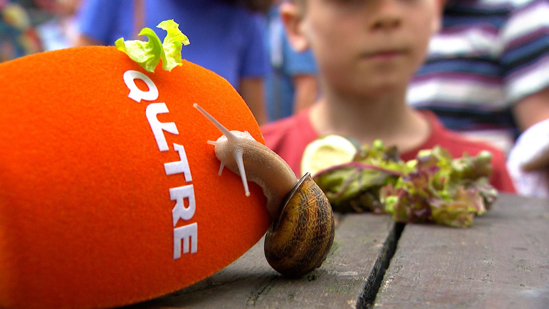 Les escargots font le show pour la fête nationale
