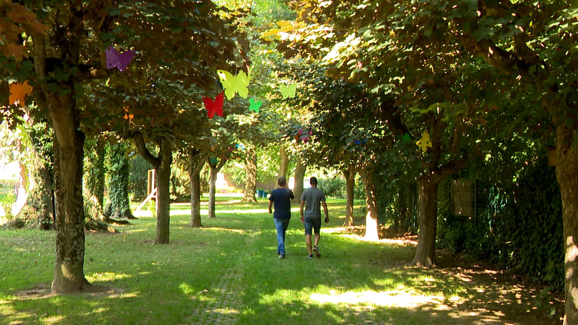 500 papillons dans les rues de Hannut