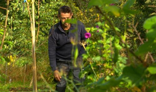 Festival des Jardins Forêts : 2 sites liégeois participent
