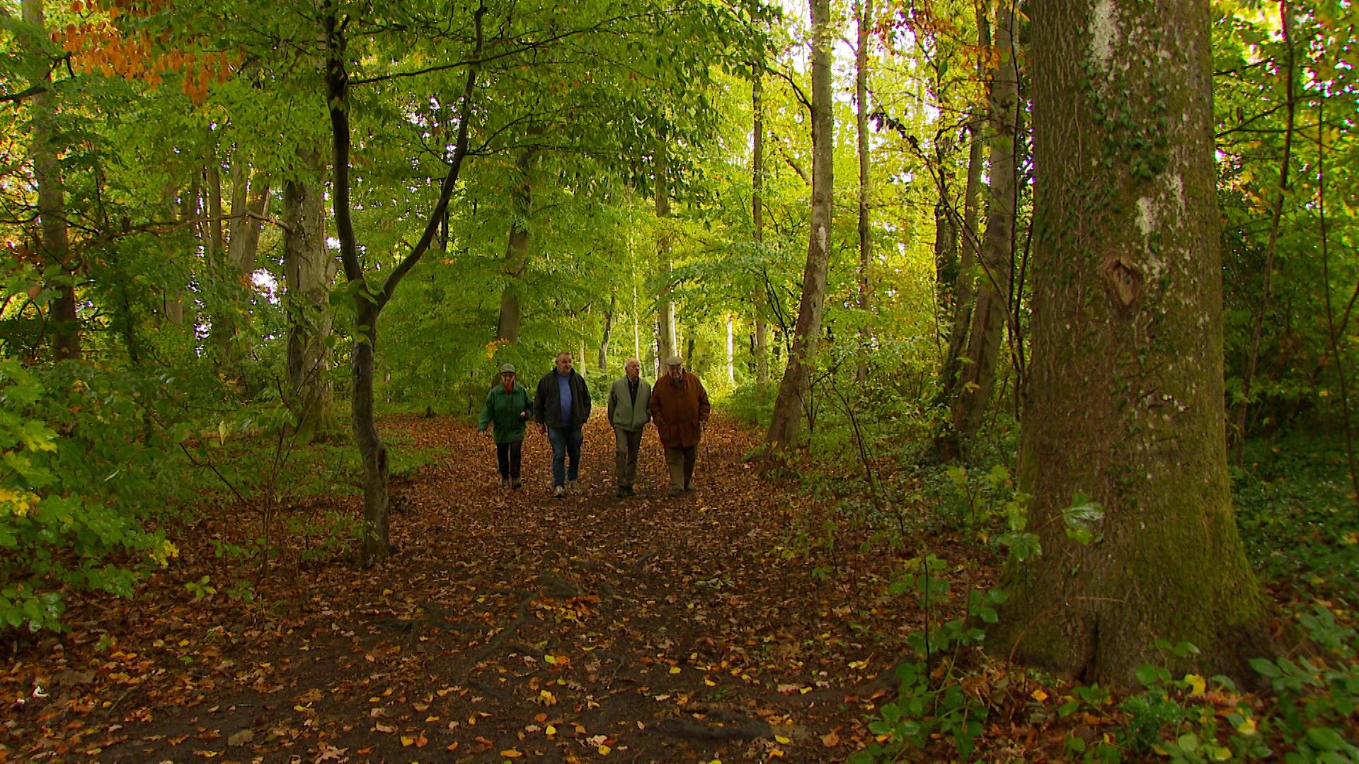 Une coupe d'arbres contestée au Bois des Chevreuils à Tilff