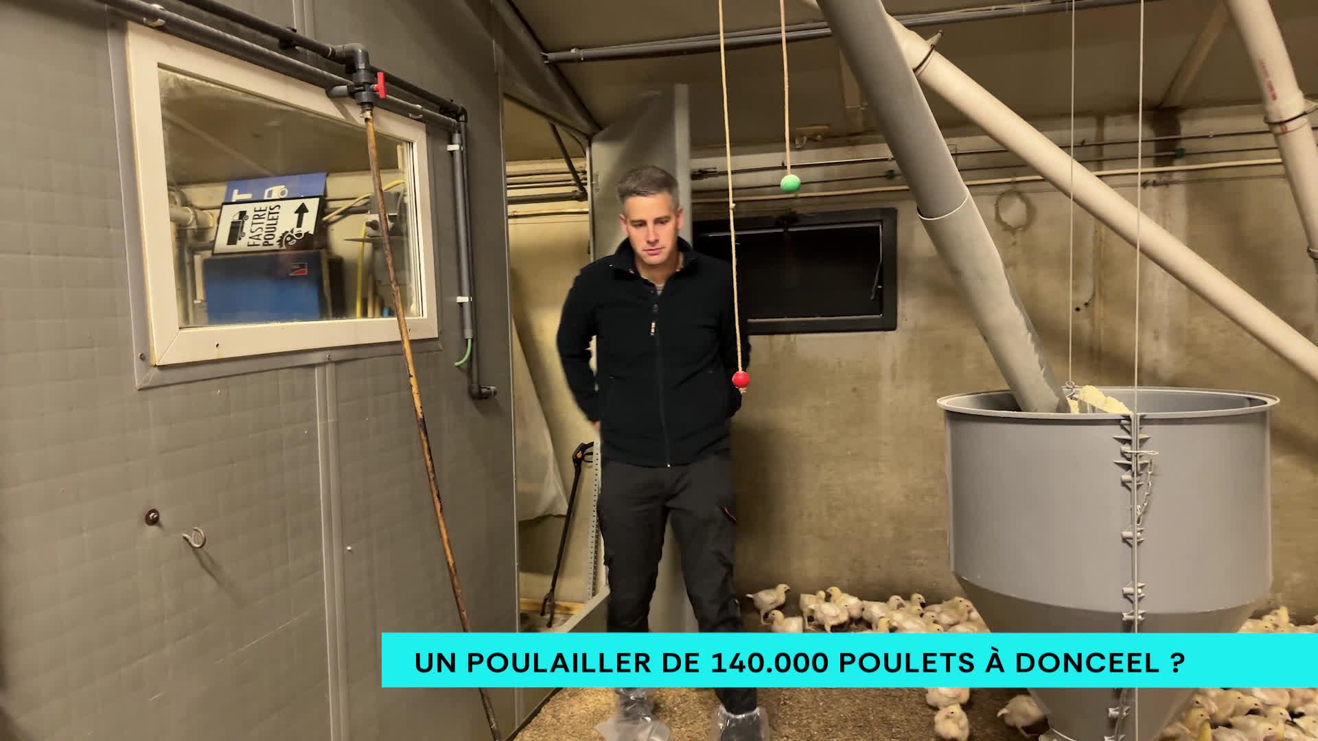 Un poulailler de 140.000 poulets à Donceel ?