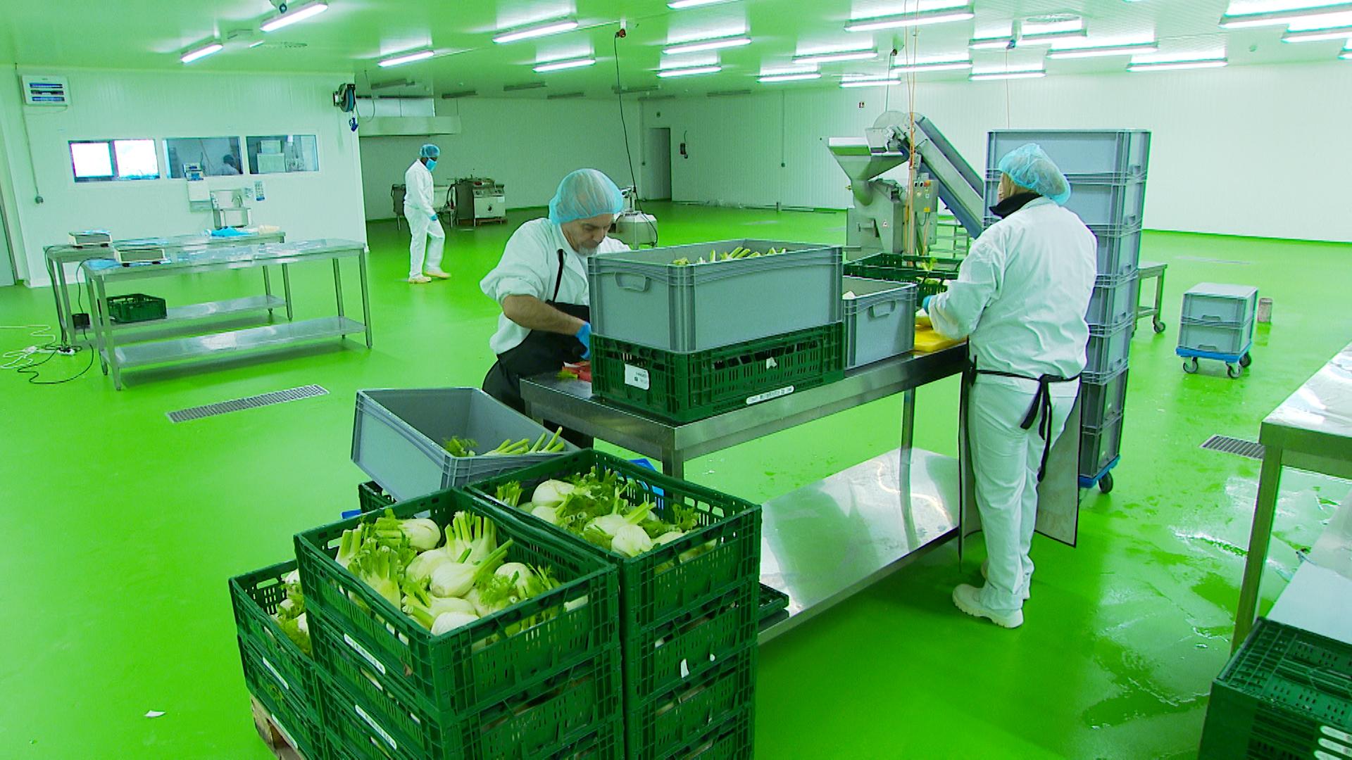 Premier hub alimentaire dédié aux circuits courts à Liège