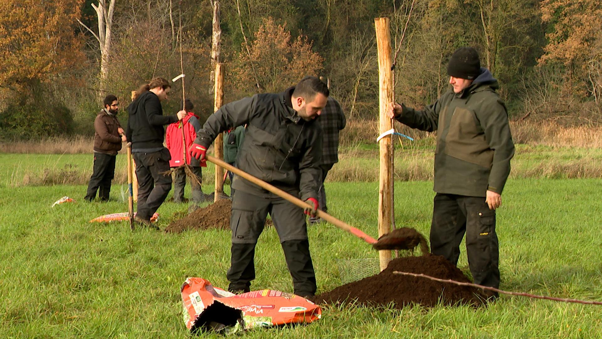 Vivegnis: Plantation d'un verger conservatoire à la réserve du Vivier