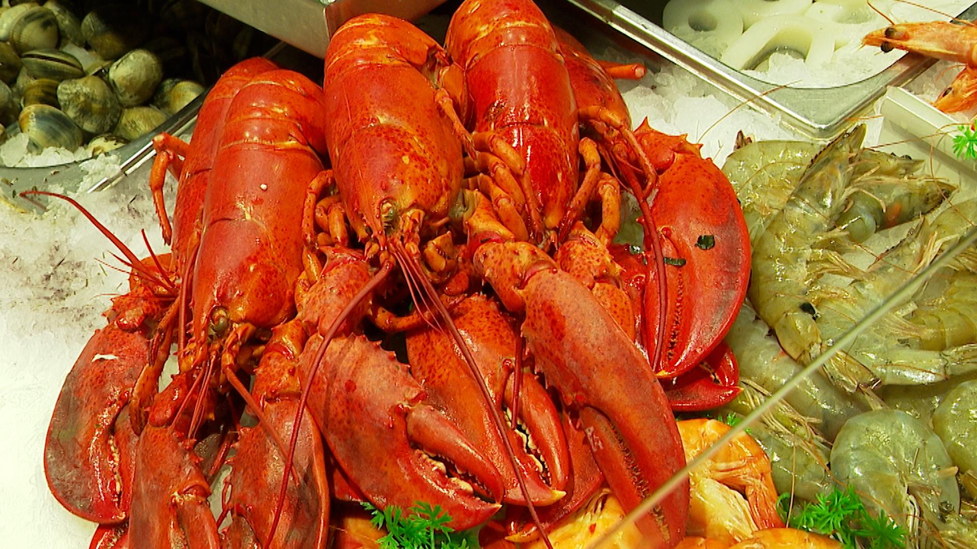 Les saveurs de Noël, sur les tables de fête