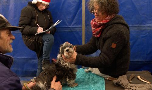 Resto du Coeur : un Noël solidaire pour tous, même les animaux