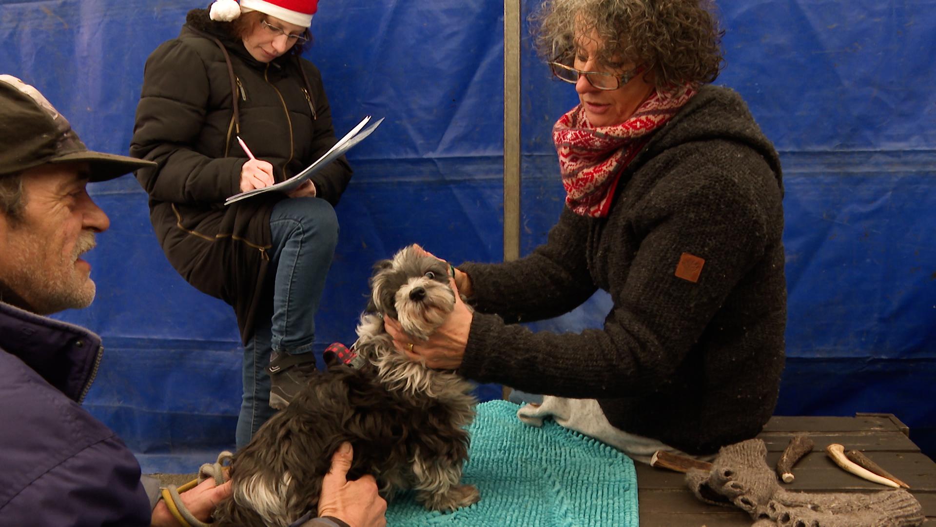 Resto du Coeur : un Noël solidaire pour tous, même les animaux