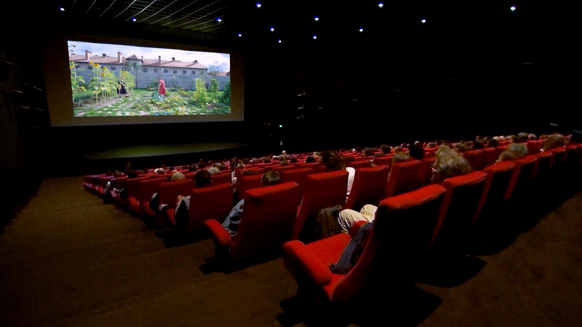 Top 5 des films aux Grignoux en 2025