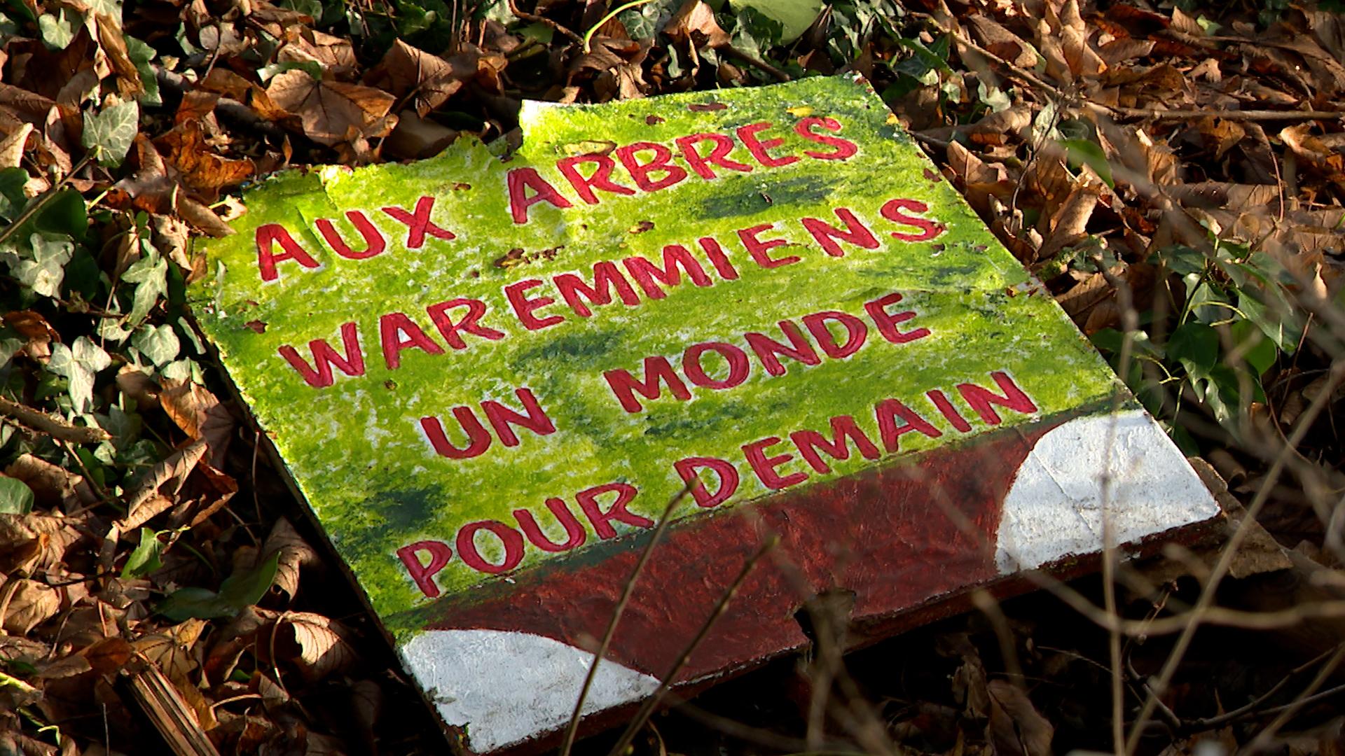 Des arbres abattus au Bois de la Tannerie, pour un moindre mal au final