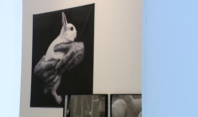 L’esprit Doisneau interprété par la nouvelle génération