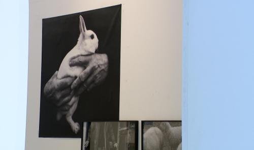 L’esprit Doisneau interprété par la nouvelle génération
