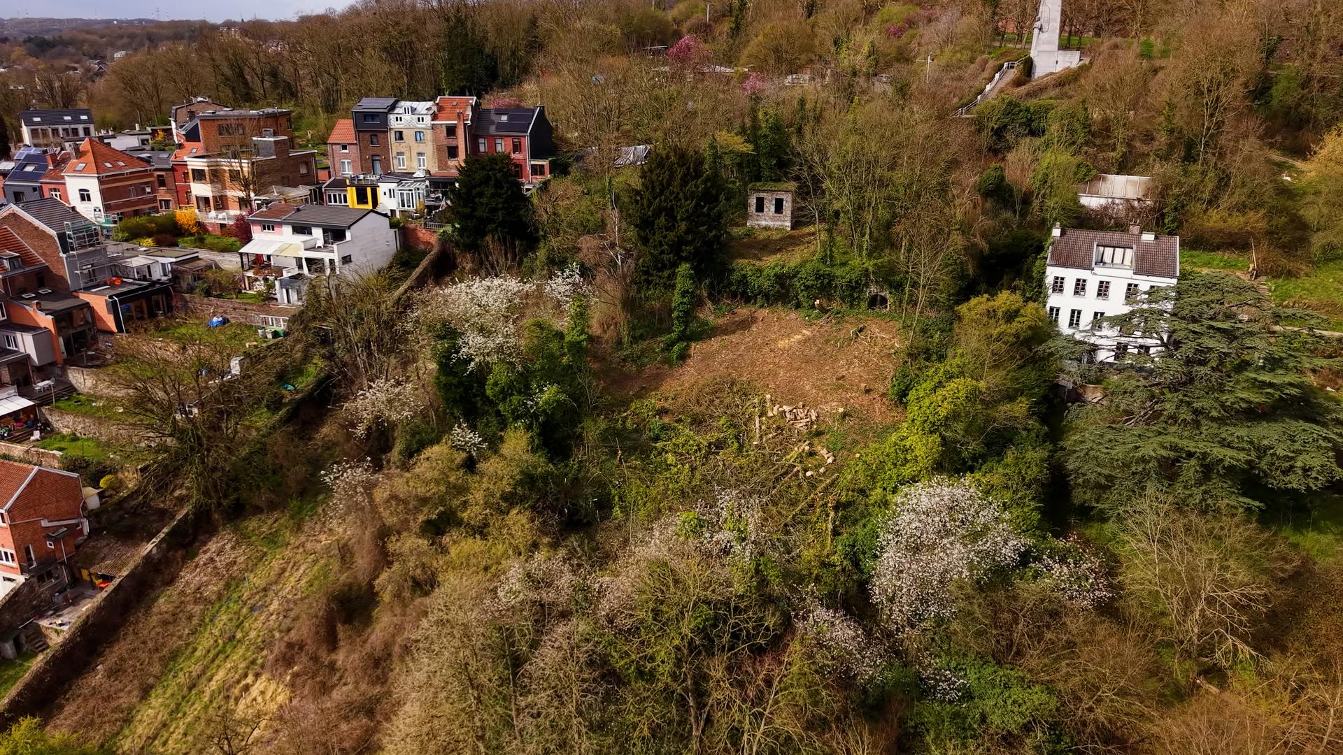 Côteaux de la Citadelle : pas d'élagage sans autorisation même pour l'Evêché