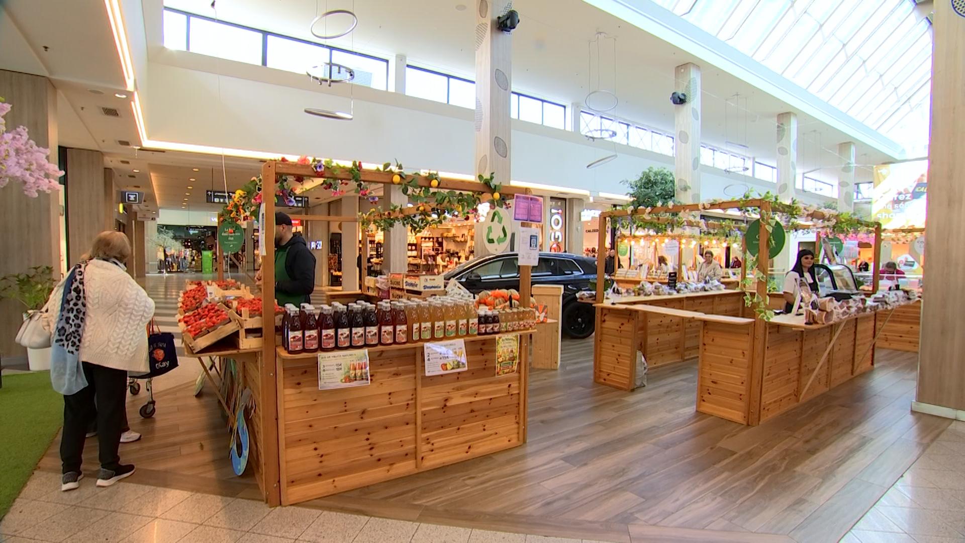 Les Eco Days au centre de l'attention à Belle-Île