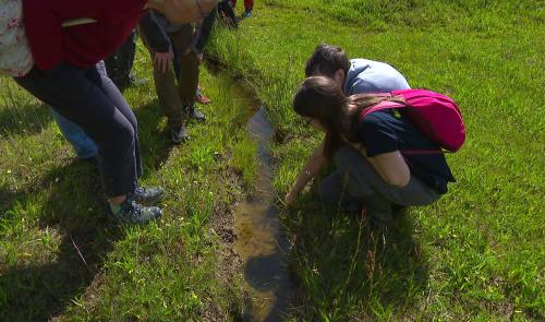 Réserve de la Rochette : une nature rare s'épanouit sur un passé industriel pollué