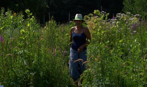 Journées Fermes Ouvertes : fleurs sauvages et jardin durable