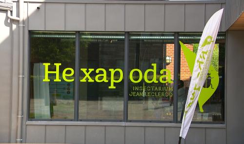 Nouvelles expériences immersives à Hexapoda