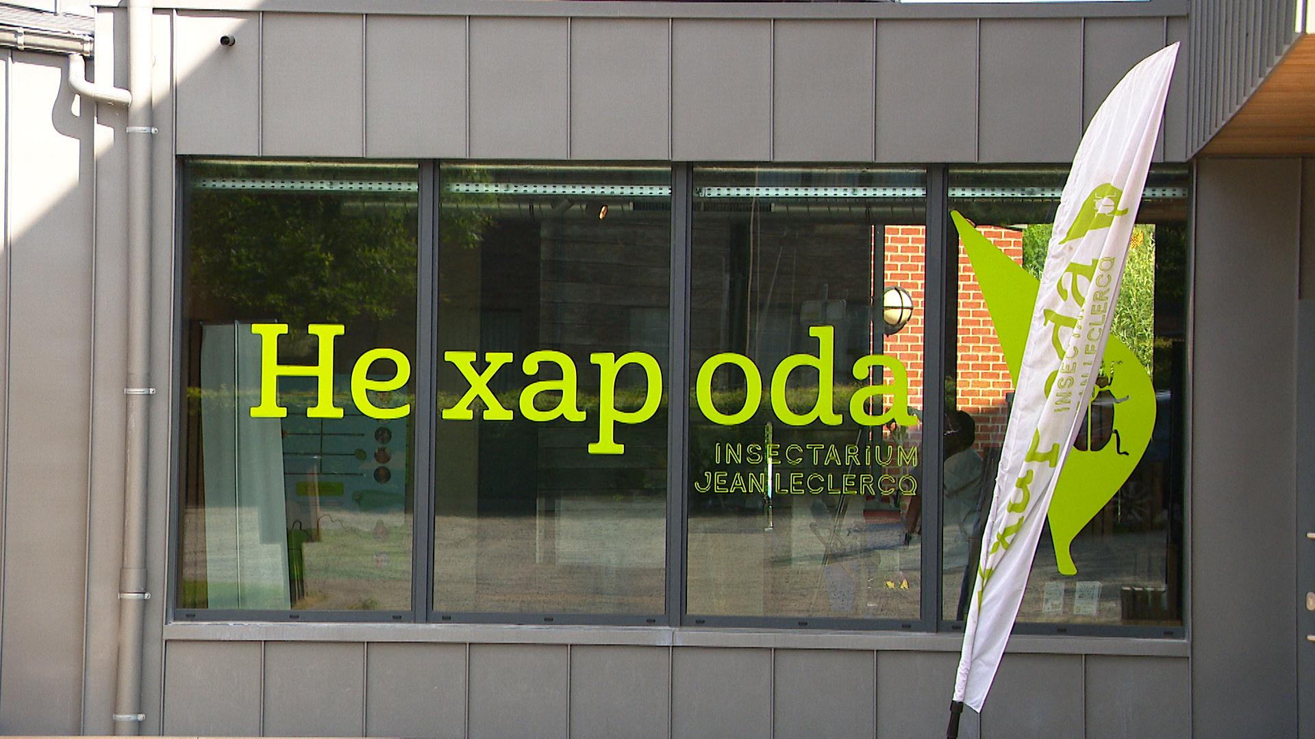 Nouvelles expériences immersives à Hexapoda