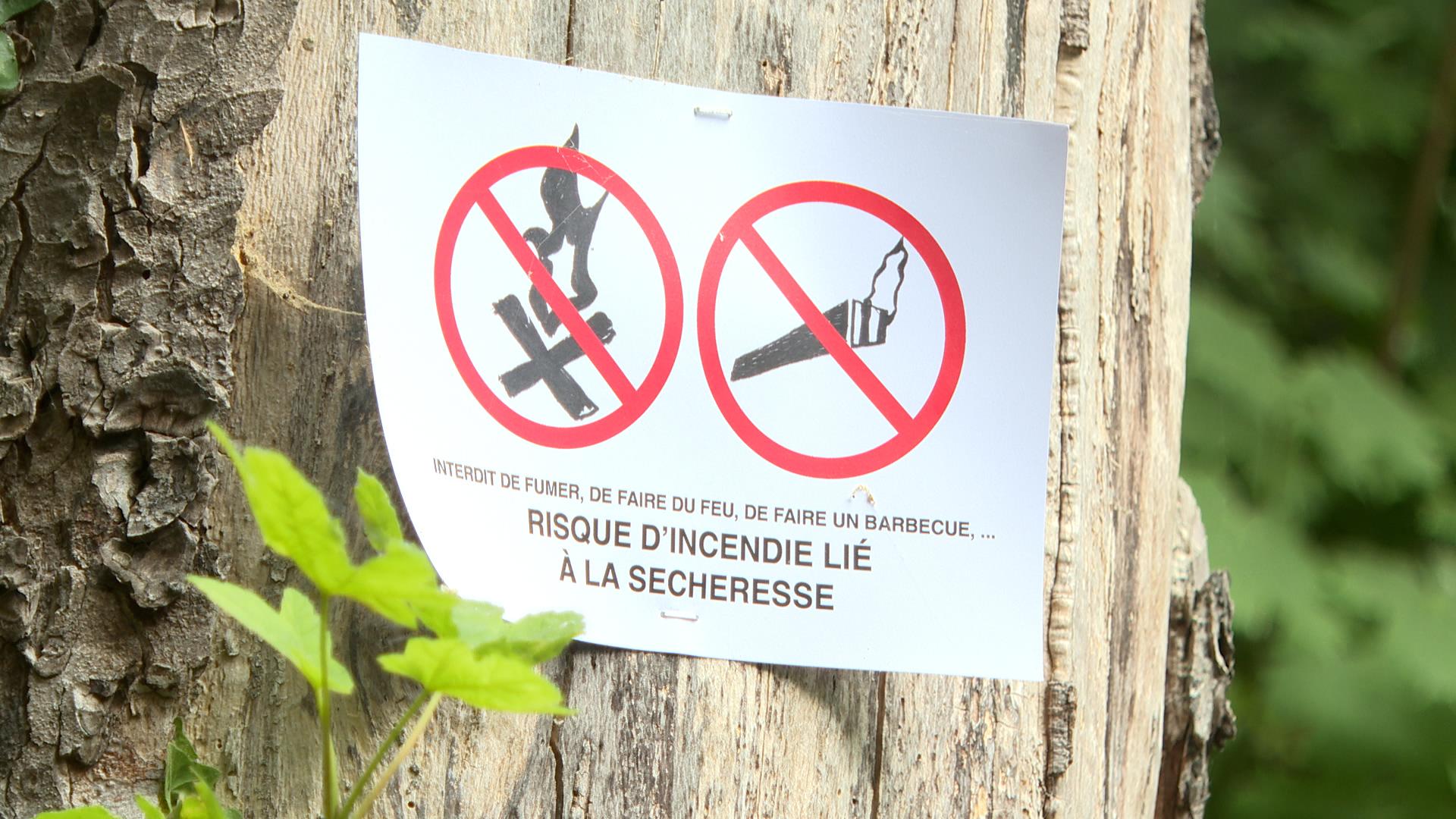 Incendies dans les coteaux : Des mesures de sécurité seront prises rapidement