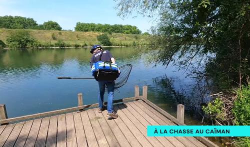 A la recherche d'un caïman au lac de la Gravière Brock