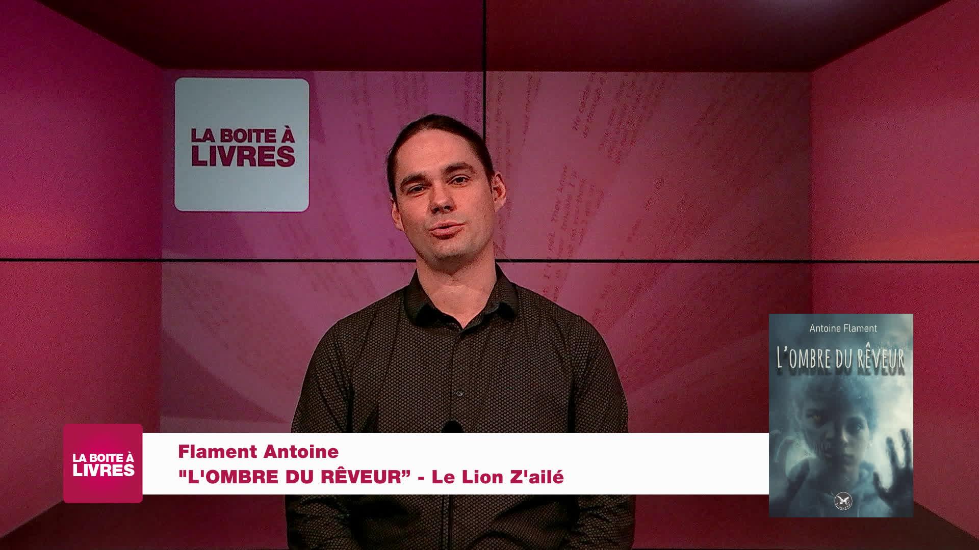 L'ombre du rêveur
