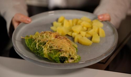 Le chou farci façon cannelloni, avec Équifrais