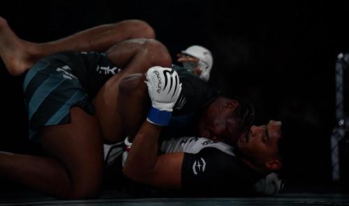 Des paniers à l’octogone : le Country Hall a vibré pour le MMA
