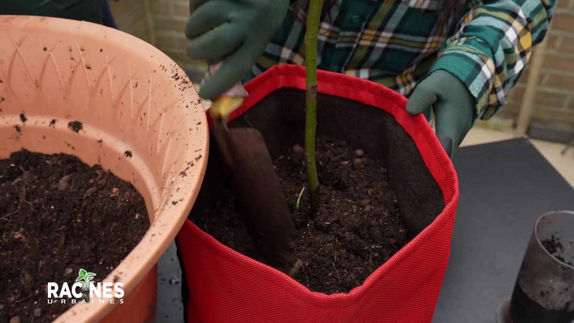 Les sacs de plantation, solution innovante pour l'éco jardinage urbain