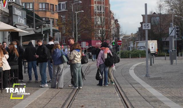 Tram en commun S7#9 : Expert de ligne du tram