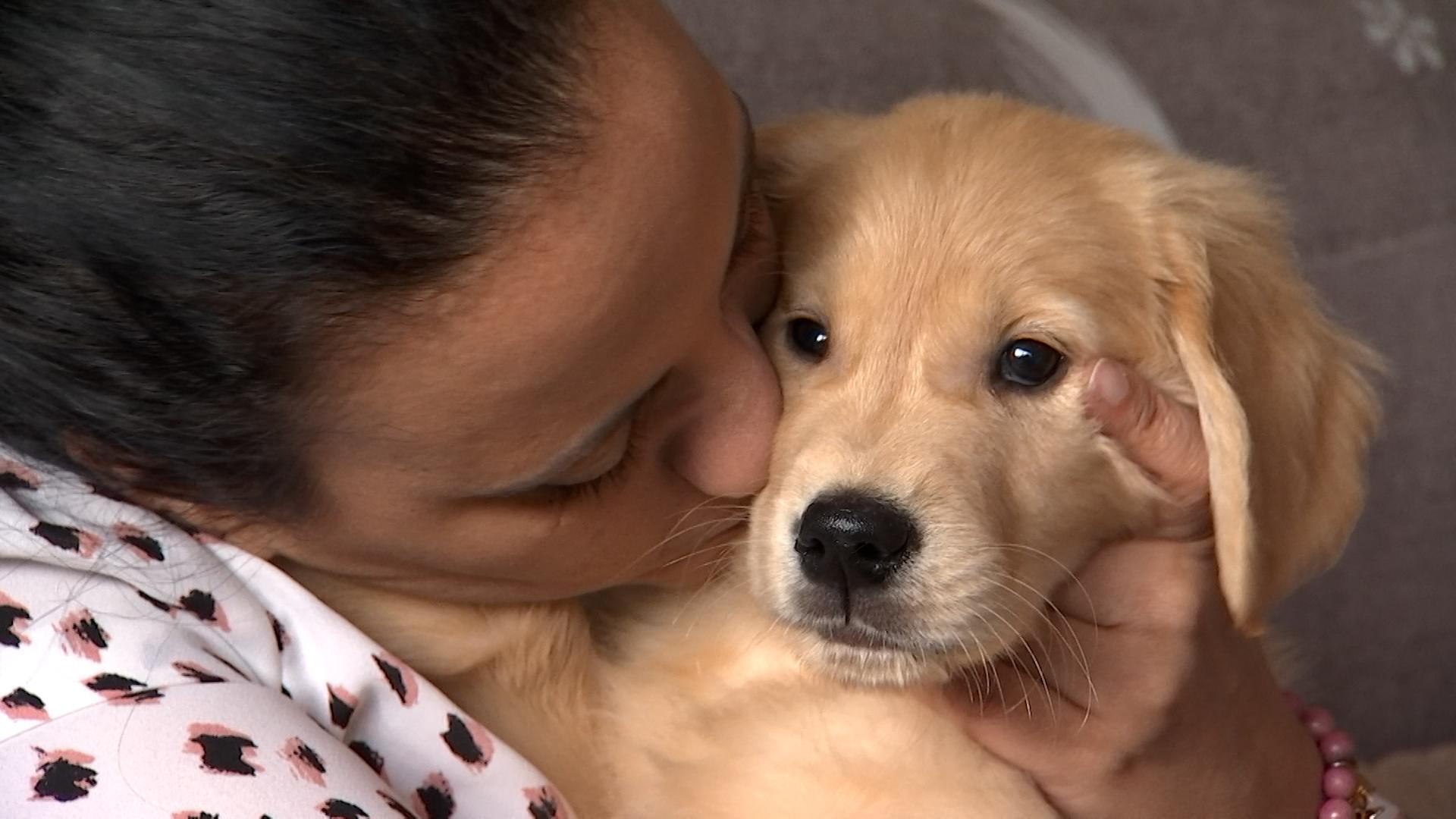Trucs de Wouf: accueillir son chiot
