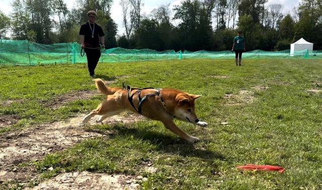 La course sur leurre