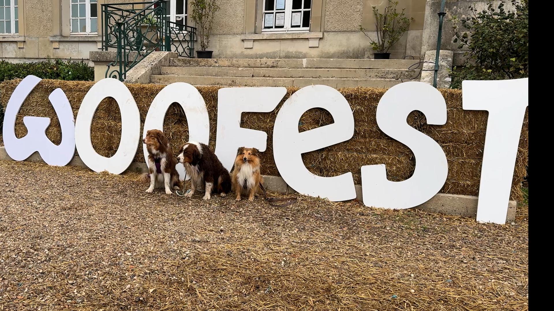 Le Woofest