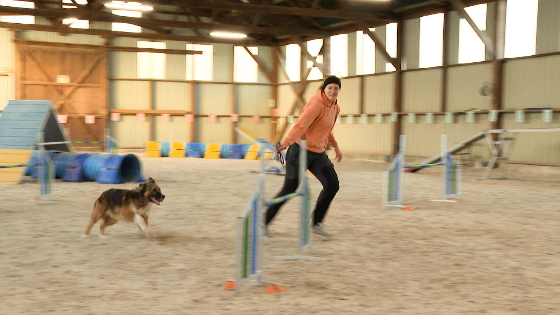 L'agility