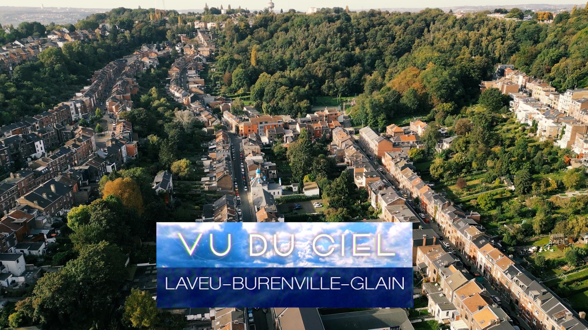 Laveu - Burenvillle - Glain, par Vu du Ciel