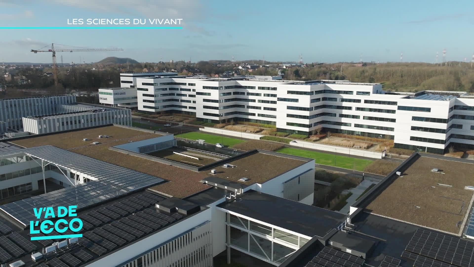 Y a de l'Eco