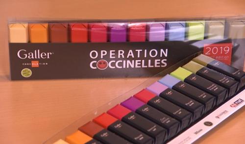 Opération Coccinelles: 180 000 chocolats pour la bonne cause!