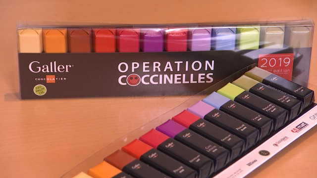 Opération Coccinelles: 180 000 chocolats pour la bonne cause!