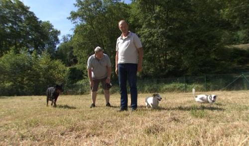 Parc canin 'maîtres admis' à Aywaille