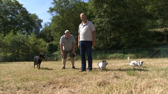 Parc canin 'maîtres admis' à Aywaille